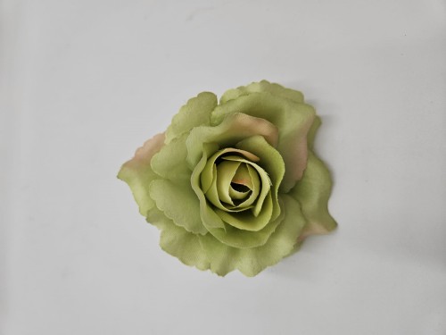 Róża wyrobowa zielona