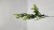 IMG_1012.jpeg